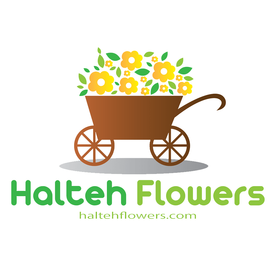Halteh Flowers